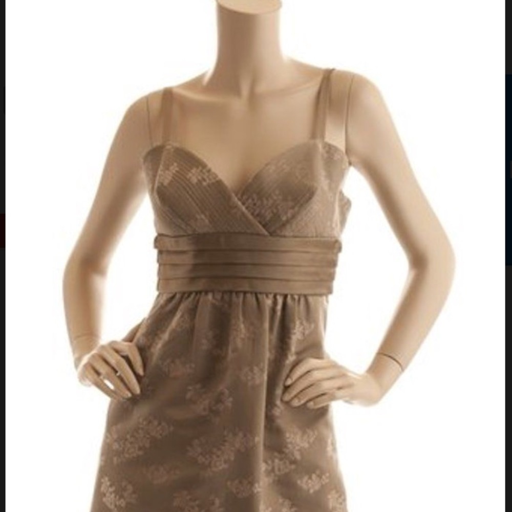 BCBG Maxazria size 6 Womens dress